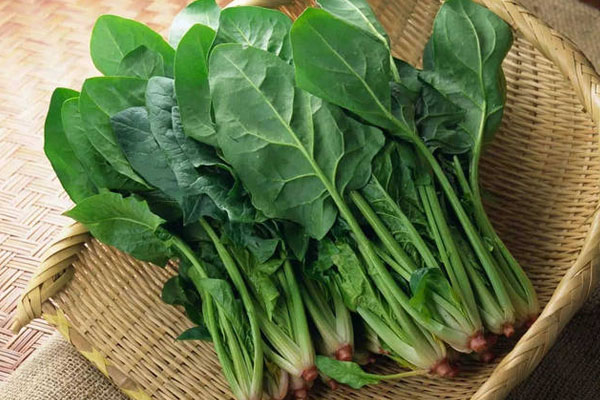 哪些蔬菜不能生吃？