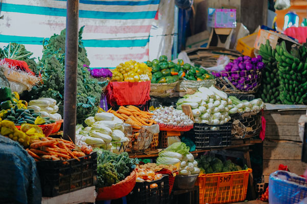 各大機構蔬菜配送流程