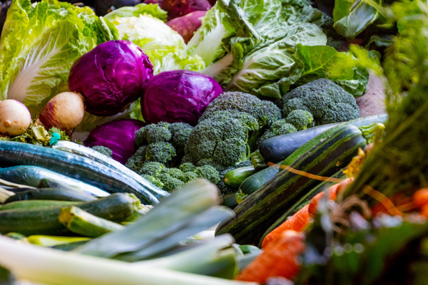 如何挑選優(yōu)質(zhì)的海帶？