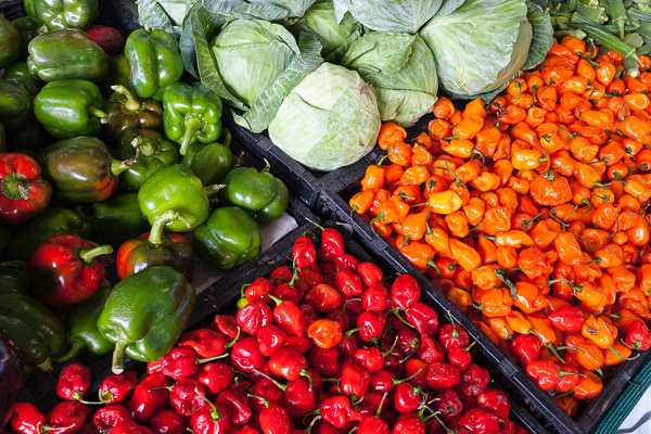 低熱量的蔬菜有哪些？