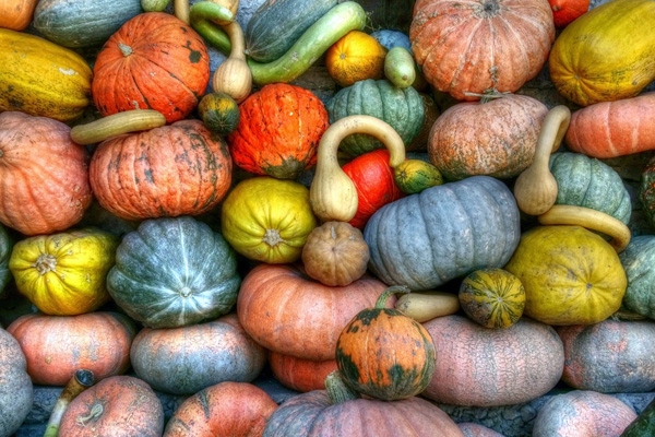 昆明生鮮配送公司哪家好？