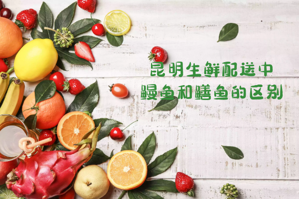 鰻魚(yú)和鱔魚(yú)的區別