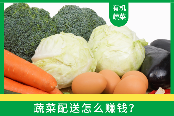 蔬菜配送怎么賺錢(qián)？