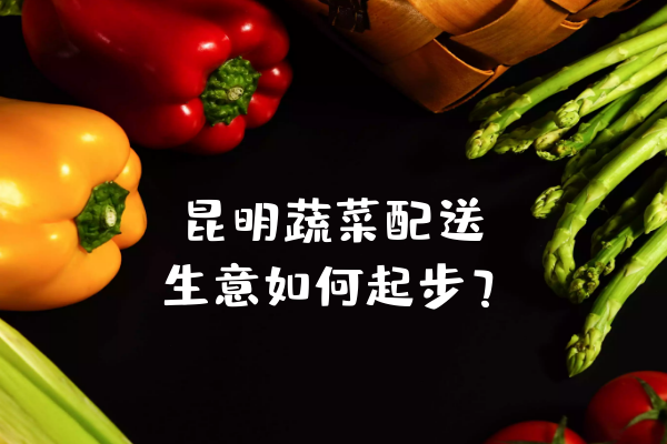 昆明蔬菜配送生意如何起步？