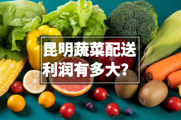 昆明蔬菜配送利潤有多大？