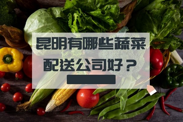 昆明有哪些蔬菜配送公司好？