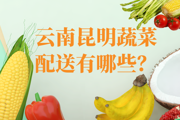 云南昆明蔬菜配送有哪些？