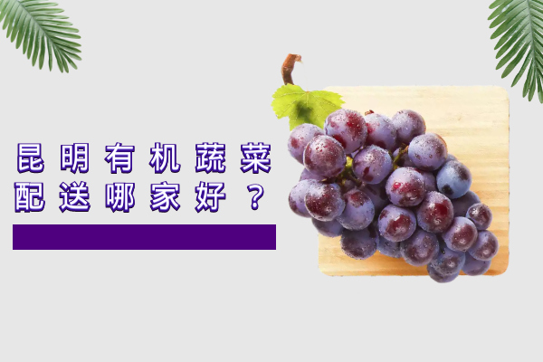 昆明有機蔬菜配送哪家好？