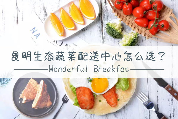 昆明生態(tài)蔬菜配送中心怎么選？