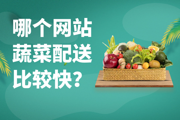 哪個(gè)網(wǎng)站蔬菜配送比較快？