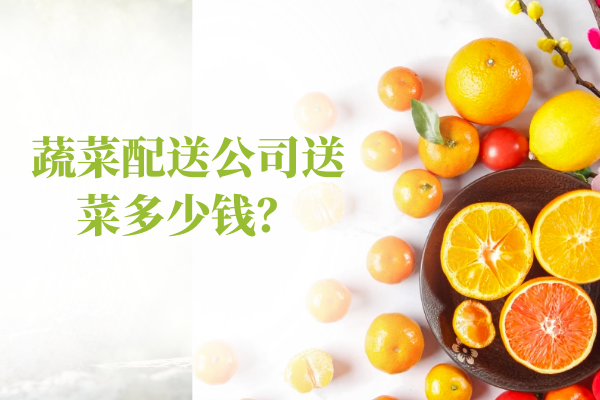 蔬菜配送公司送菜多少錢(qián)？